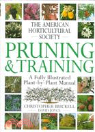 Pruning & Training