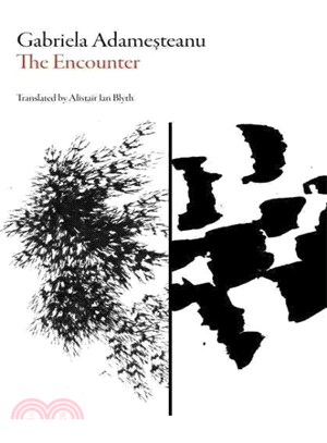 The Encounter