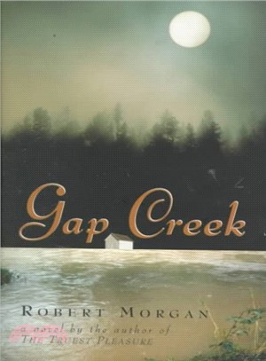 Gap Creek ― A Novel