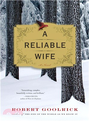 A reliable wife :a novel /