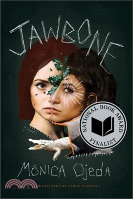 Jawbone (National Book Awards Finalist)