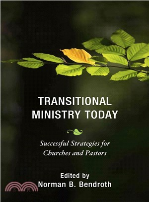 Transitional Ministry Today ― Successful Strategies for Churches and Pastors