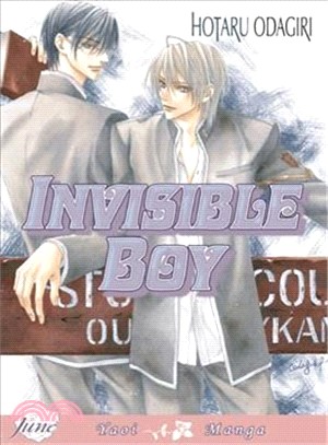 Invisible Boy 2