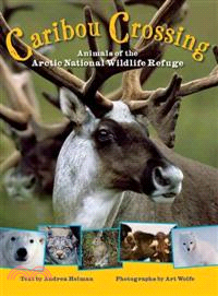 Caribou Crossing—Animals of the Arctic National Wildlife Refuge