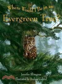 Where Would I Be in an Evergreen Tree?