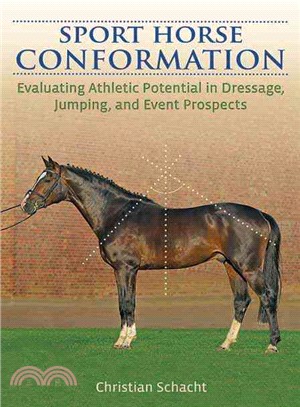 Sport Horse Conformation—Evaluating Athletic Potential in Dressage, Jumping and Eventing Prospects