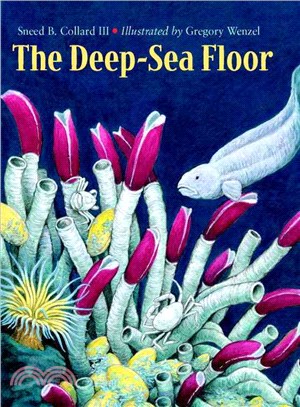 The Deep-Sea Floor