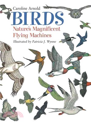 Birds ─ Nature's Magnificent Flying Machines