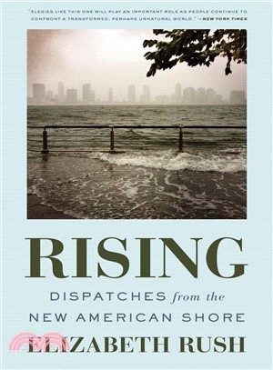 Rising ― Dispatches from the New American Shore