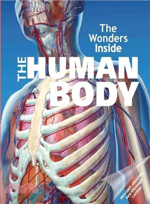 The Wonders Inside The Human Body