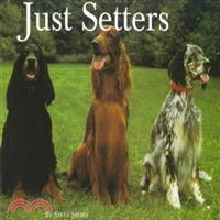 Just Setters