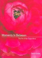 Moments in Between: The Art of the Quiet Mind