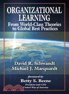 Organizational Learning: From World-Class Theories to Global Best Practices