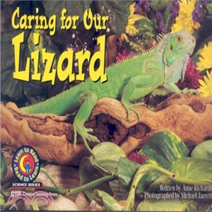 Caring for Our Lizard