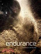 Endurance: Down and Dirty Off-Road Racing