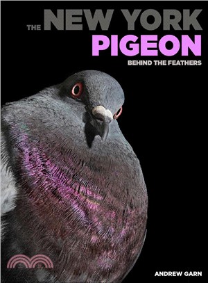 The New York Pigeon ― Behind the Feathers