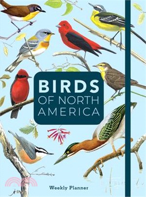 Birds of North America: Undated Weekly and Monthly Planner