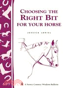 Choosing the Right Bit for Your Horse