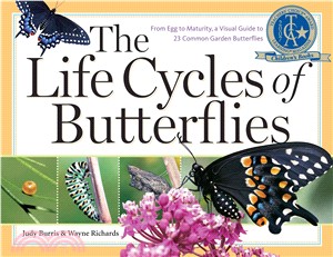 The Life Cycles of Butterflies ─ From Egg To Maturity, A Visual Guide To 23 Common Garden Butterflies