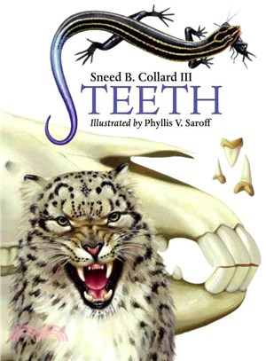 Teeth /