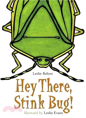 Hey There, Stink Bug!