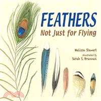Feathers ─ Not Just for Flying