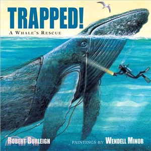 Trapped! ─ A Whale's Rescue