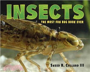 Insects :the most fun bug bo...