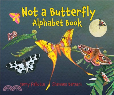 Not a Butterfly Alphabet Book