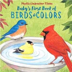 Baby's First Book of Birds & Colors