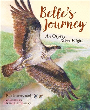 Belle's Journey ― An Osprey Takes Flight