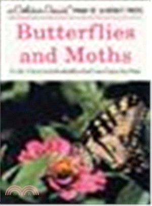 Butterflies and Moths ─ A Guide to the More Common American Species