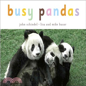 Busy Pandas