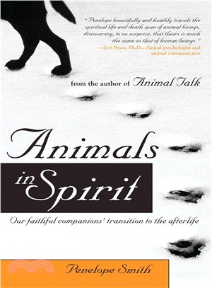 Animals in Spirit ─ Our Faithful Companions' Transition to the Afterlife