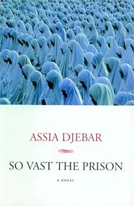 So Vast the Prison ─ A Novel