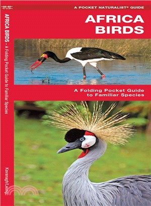 African Birds ─ A Folding Pocket Guide to Familiar Species