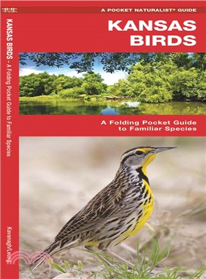 Kansas Birds ─ A Folding Pocket Guide to Familiar Species