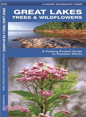 Great Lakes Trees & Wildflowers ─ A Folding Pocket Guide to Familiar Species