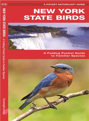 New York Birds ─ A Folding Pocket Guide to Familiar Species