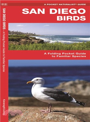 San Diego Birds ─ A Folding Pocket Guide to Familiar Species