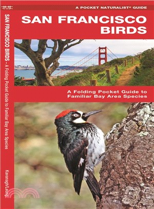 San Francisco Birds ─ A Folding Pocket Guide to Familiar Bay Area Species