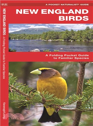 New England Birds ─ A Folding Pocket Guide to Familiar Species