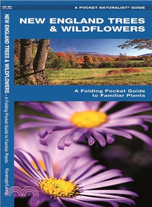 New England Trees & Wildflowers ─ A Folding Pocket Guide to Familiar Species