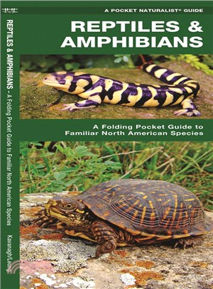 Reptiles and Amphibians ─ A Folding Pocket Guide to Familiar North American Species