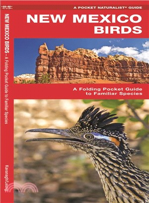 New Mexico Birds ─ A Folding Pocket Guide to Familiar Species