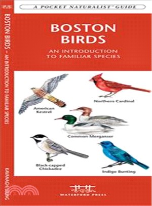 Boston Birds ─ An Introduction to Familiar Species of Boston Ma