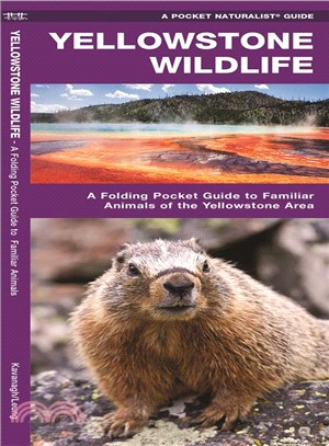 Yellowstone Wildlife ─ An Introduction to Familiar Species of Yellowstone Area