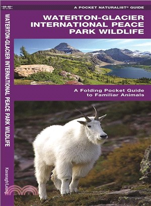 Glacier National Park Wildlife ─ An Introduction to Familiar Species