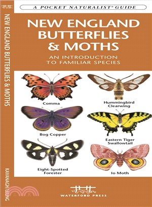 New England Butterflies & Moths ─ An Introduction to Familiar Species