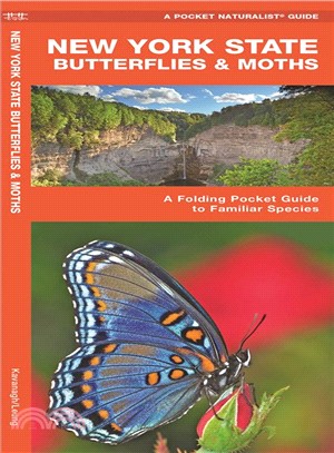 New York State Butterflies & Moths ─ An Introduction to Familiar Species